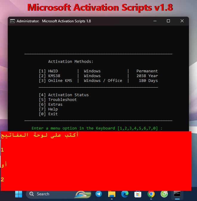 Microsoft Activation Scripts 18