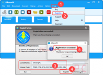 allavsoft-video-downloader-license-key-free-download-767x566.png