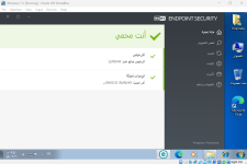 ESET Endpoint Security2.png