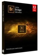 Adobe Bridge.jpg