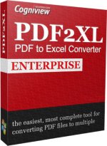 PDF2XL 