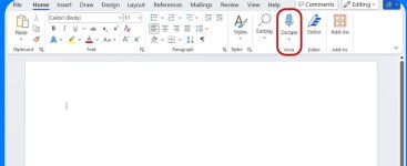 Microsoft Word Dictate11111111.jpg