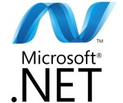 what-is-microsoft-net.jpg