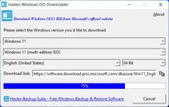 downloading-windows-installation-iso.jpg