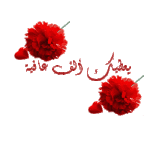 1748149047818.gif