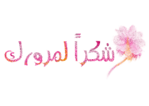 1748462734296.png