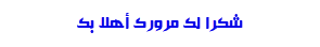 z3.png