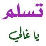 STK-20250518-WA0035.webp