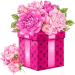 STK-20240914-WA0222.webp