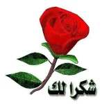 fa479247d49581da6be5e17014c15d91_11zon.webp