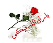 1754035504570.png