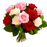 STK-20240914-WA0356.webp