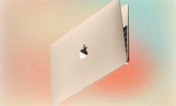 1762358089199.jpeg 1762358089199.jpeg