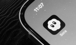 1763058841566.jpeg 1763058841566.jpeg