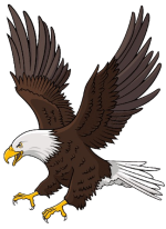 sticker-png-bird-logo-bald-eagle-drawing-royaltyfree-beak-hawk-feather-removebg-preview.png