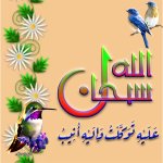 Untitled-12 copy.jpg