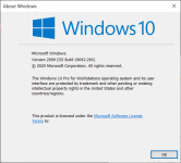 Windows-10-version-2009-20H2-winver.png
