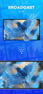 1778753850173.png