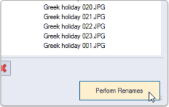 rename_button.png