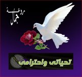 تحياتى واخترامى.JPG