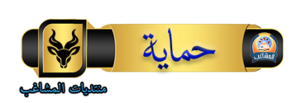 Untitled-1 copy.png