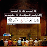 islam.elshref