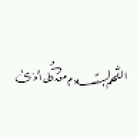 adel zz