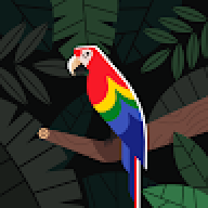 إسم المستخدم