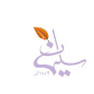 سليمان التركي