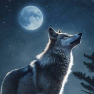 مخاوي الذيب