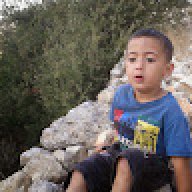 محمد القاضي