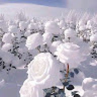 الفقير إلى الله