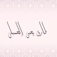 abo khadiga
