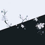 Tshuji