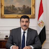 walid shoukry