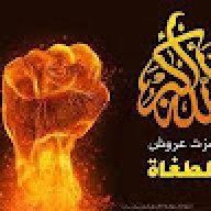memoaraby78
