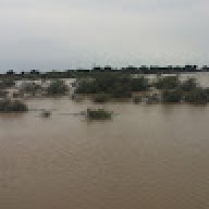 رامي علي