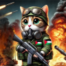 أشرف م