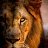 mahmoud_13602