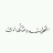 adel zz