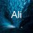 alisayedalimohamedgafer