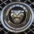jaguary75